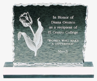 Jade Acrylic Cracked Ice Award - Trophy