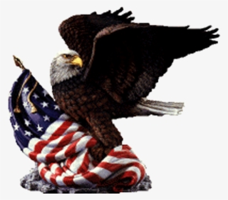 Adams Elementary - American Flag Eagle Clip Art