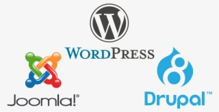 Bluehost Packages - Wordpress: The Complete Beginners Guide To Mastery