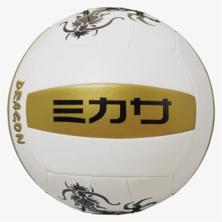 Vxs-dr3 - Volleyball