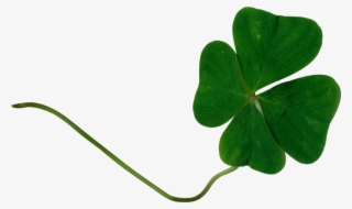 Patrick's Day Png - Portable Network Graphics