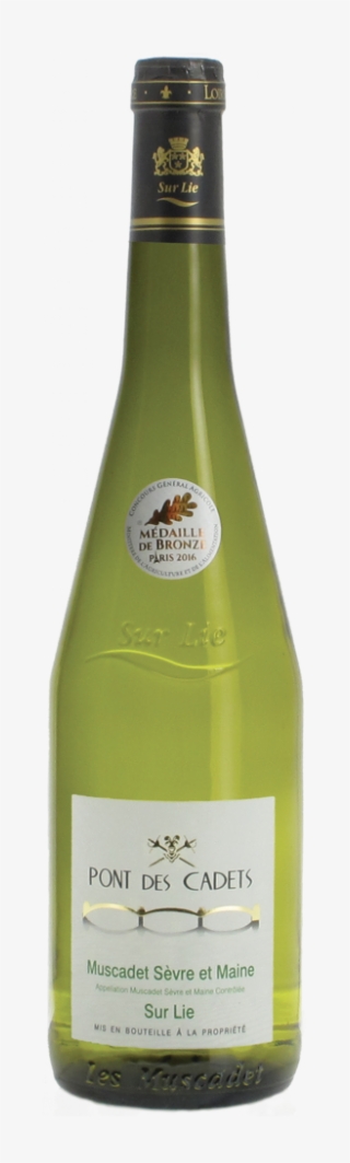 Galerie Photos - Domaine De L Ermitage Menetou Salon