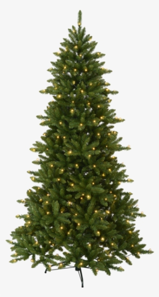 Christmas Tree W Led Minnesota - Fir Christmas Tree