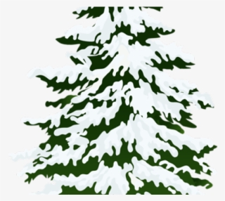Pine Tree Clipart Leaf - Pine Tree With Snow Clip Art