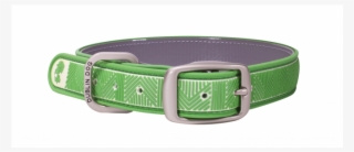 Chevron - Dublin Dog All Style No Stink Chevron Maritime Green