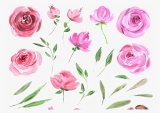 Peonies Free Png Image