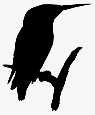 Download Png - Bird