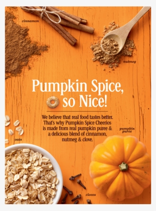 Pumpkin Spice Cheerios Box