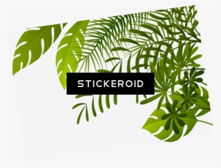 Jungle Tree Nature - Illustration