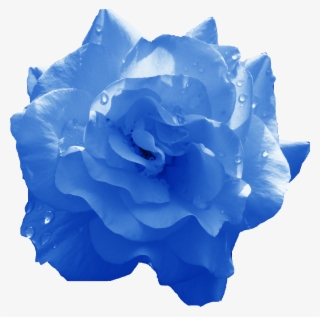 Free Download - Portable Network Graphics