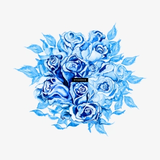 Blue Rose - Stock.xchng