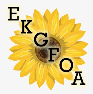 Sunflower Vector Png