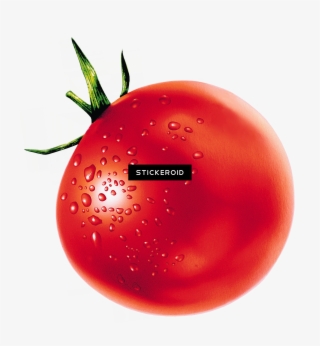 Tomato - Tomato With No Background