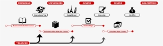 Curriculum - Diagram