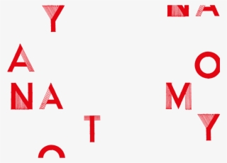 Anatomy And Physiology Of The Brain Essay Custom Paper - Anatomy