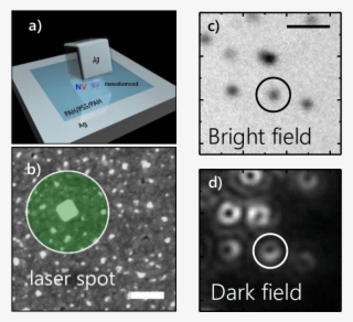 Schematic View Of An All Silver Nano Patch Antenna - Silver