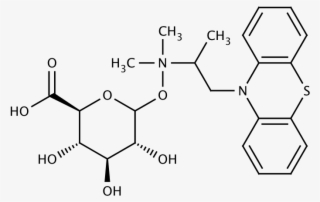 Structure For Promethazine N B D Glucuronide - Acid