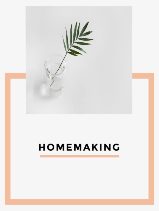 Homemaking - Agave