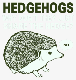 Hedgehogs Why Dont They Just Share The Hedge No - Book