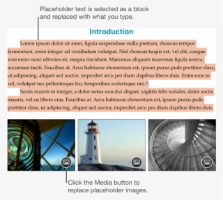 Placeholder Text And Images - Text