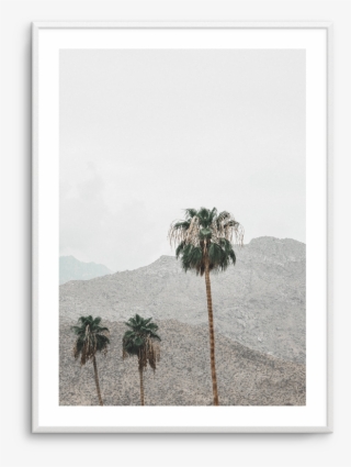 Mountains Of Palm Springs - Palm Springs