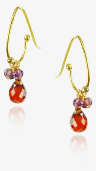 Fish Hook Clustered Earrings - Earring