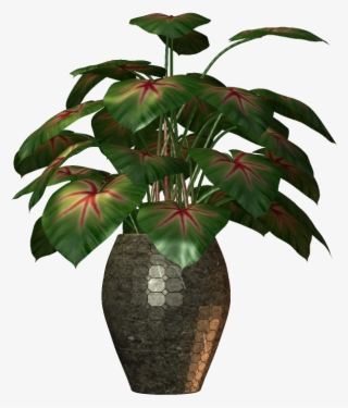 Flower Plants, Potted Plants, Yandex, Random Stuff, - Flower With Pot Png