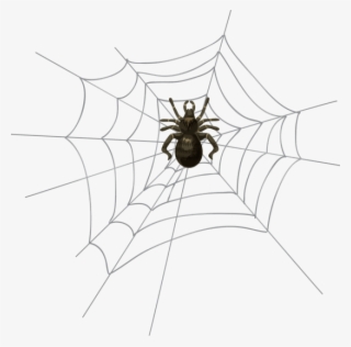 Free Png Download Halloween Spider Web Png Png Images