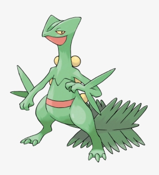 Just Look At Sceptile's Face