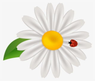 Free Png Download Spring Flower With Lady Bug Transparent - Camomile Logo