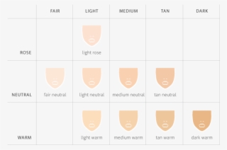 The Combination Of These Two Characteristics Results - Fondotinta Liquido Neve Cosmetics