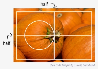 Place The Circle Any Where On The Surface But It Must - Electrolux