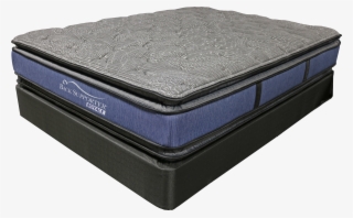 Back Supporter Royale' Was A Hit During Our Open House - Mattress