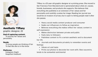 Secondary Persona - Persona