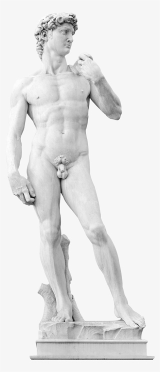 Dr Norbert Pallua - David