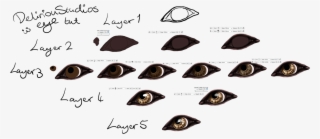Wolf Eyes Tutorial - Wolf Eye Drawing Tutorial