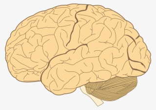 Open - Science Of Human Nature: A Psychology
