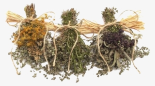 Pngs /like Or Reblog If Used/ - Flower Bouquet