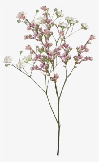 Pngs /like Or Reblog If Used/ - Aesthetic Vintage Flower Png