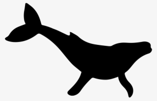 Png File Svg - Whale Silhouette