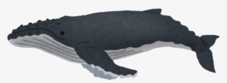 Humpback Whale Png Amp Humpback Whale Transparent Clipart - Humpback Whale