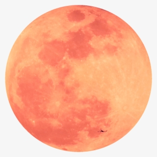 N 2 K Ive Been Biggie Smalls And Biggie Smalls And - T-bo