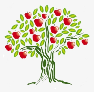 Hacer La Pregunta - Apricot Tree Clipart