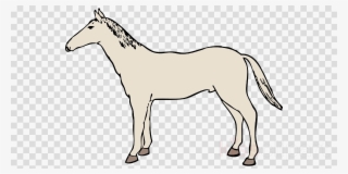 White Horse Clipart Arabian Horse Shire Horse Clip - Horse Drawing Shower Curtain