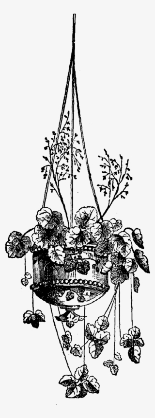 Digital Hanging Flower Basket Downloads - Drawing