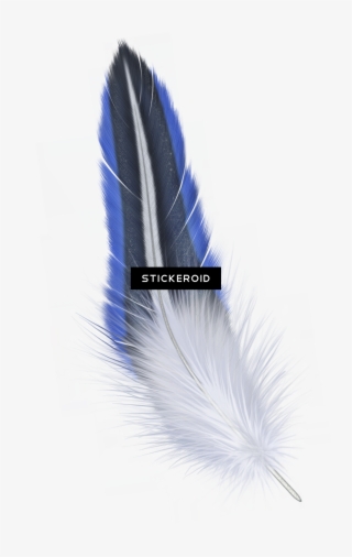 Feather