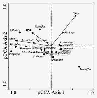 Pcca Biplot Of Fish Species And Basin Area, Median - Biplot