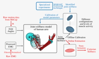 Schematic Diagram Of The Procedure Of The Proposed - Joint Stiffness