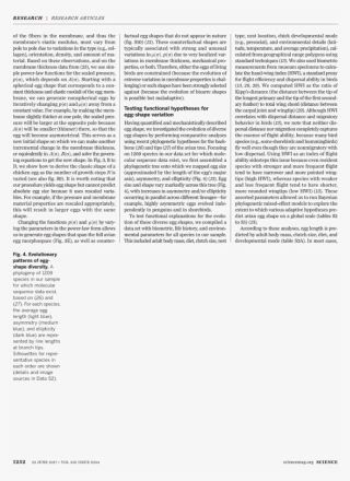 Discovery Of Achilles On Skyros