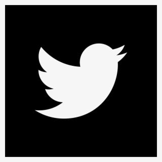 Twitter Square Logo Png